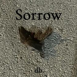 Sorrow