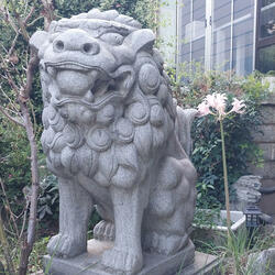 English song I ching 28/The Great Beyond위대한 저편/택풍대과