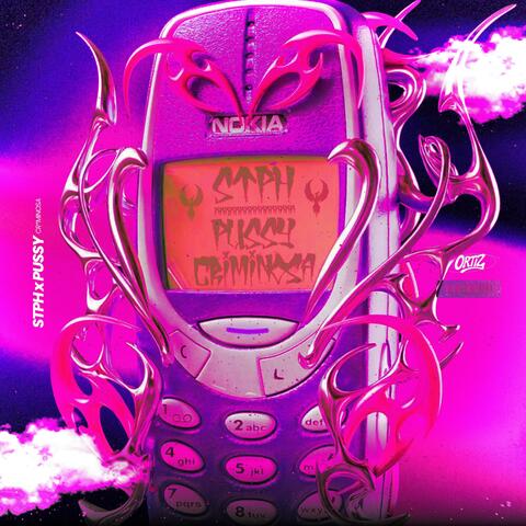 Mega Funk - STPH x Pussy Criminosa