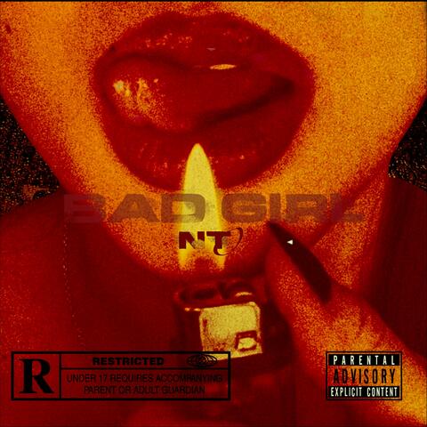 BADGIRL (feat. VFSO)