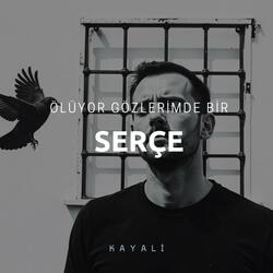 Serçe