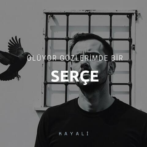 Serçe