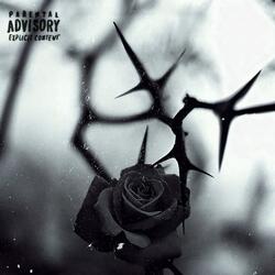 Thorns (Clean Version)