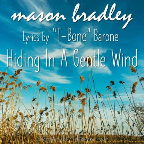 Hiding In A Gentle Wind (feat. T-Bone Barone)