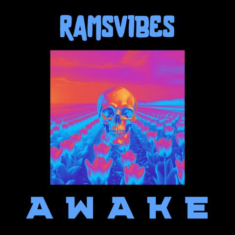 AWAKE