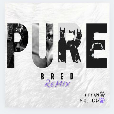 PURE BRED (feat. CD) [REMIX]
