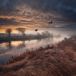 Cloudy Morning in Maastricht