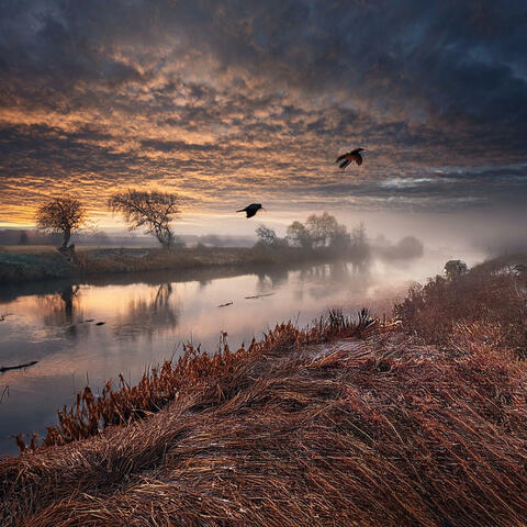 Cloudy Morning in Maastricht