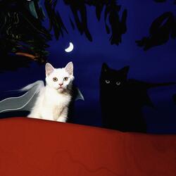 Cemetery Date Ultra Slowed