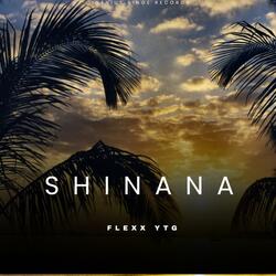 Shinana (feat. Flexx YTG)