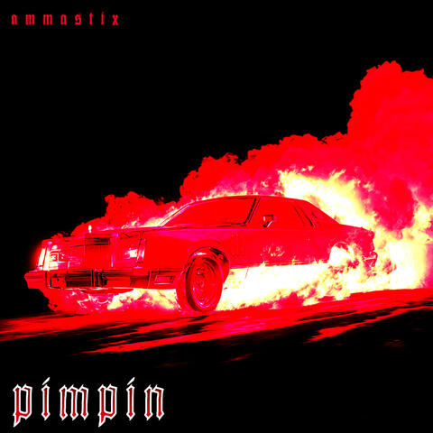 PIMPIN