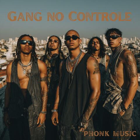 Gang no Controle
