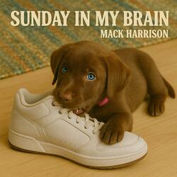 Sunday In My Brain