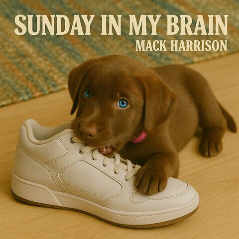 Sunday In My Brain