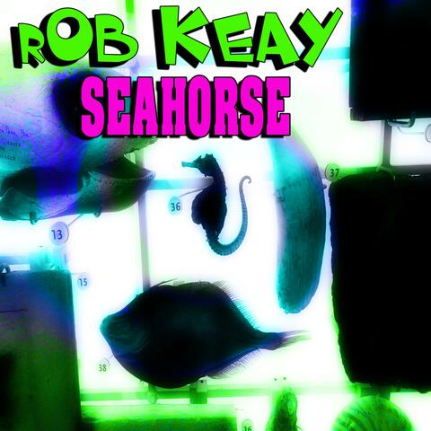 Seahorse