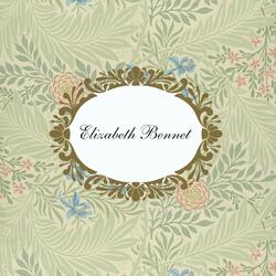 Elizabeth Bennet (inspired by Jane Austen's 'Pride & Prejudice')