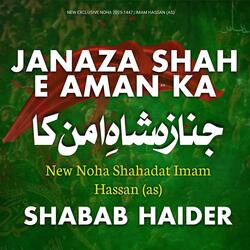 Janaza Shah e Aman Ka || Noha 28 Safar Shahadat Imam Hassan AS