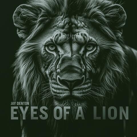 Eyes Of A Lion