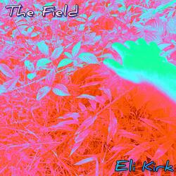 The Field