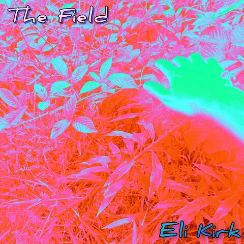 The Field