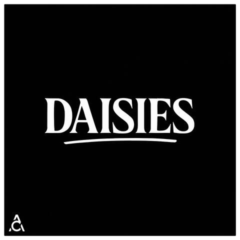 DAISIES