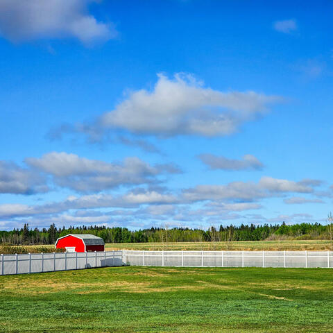 The Half That's Never Been Told