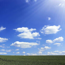 The Best Thing to Be