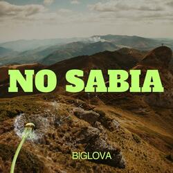 NO SABIA