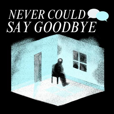Never Could Say Goodbye (feat. velo6)