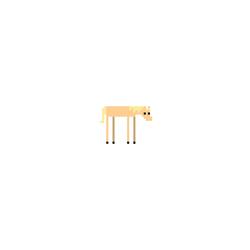The Horse Is Way Too High