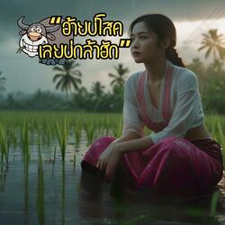 อ้ายบ่โสดเลยบ่กล้าฮัก V2