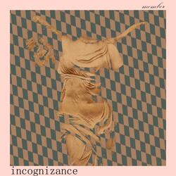 Incognizance