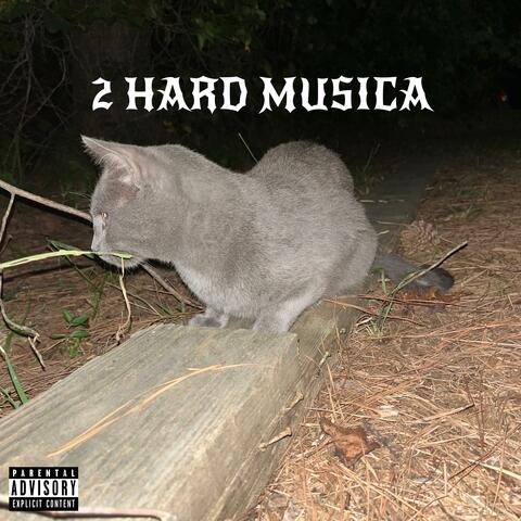 2 hard musica