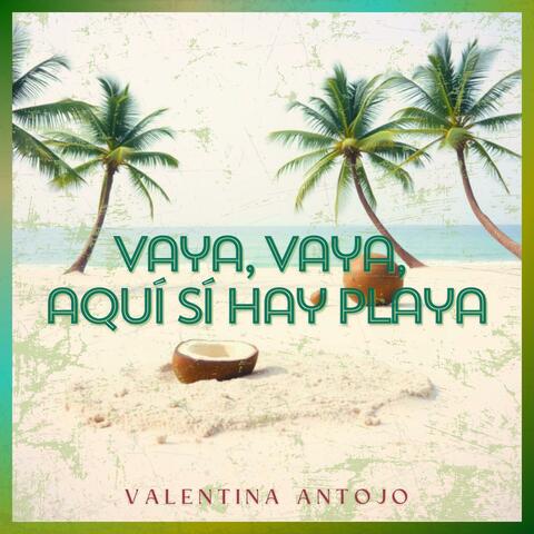 Vaya, vaya, aquí sí hay playa