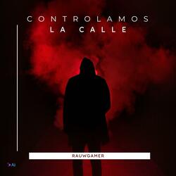 Controlamos la calle