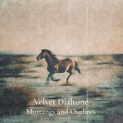 Mustangs and Outlaws