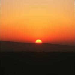Tequila Sunrise
