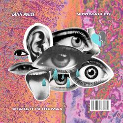 Shake It To The Max (Radio Edit)