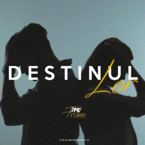 Destinul lor (feat. FRDM)