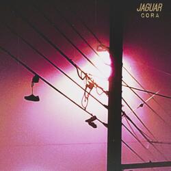 An Entire Bus Full of People On Their Way To Work, Crashing