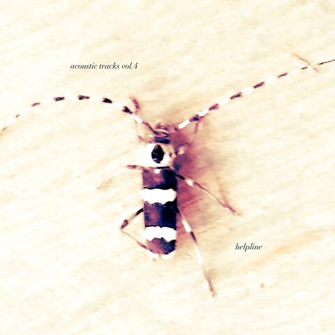 acoustic tracks vol. 4