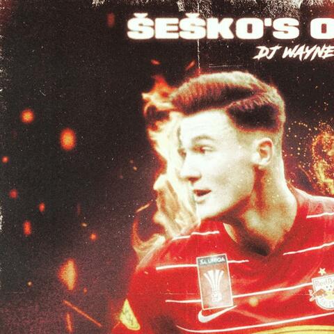 Benjamin Šeško Song