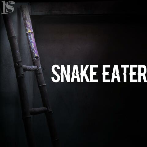 Snake Eater (Metal Gear Solid 3)