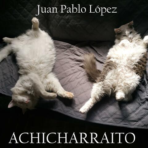 ACHICHARRAITO