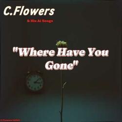 Where Have You Gone