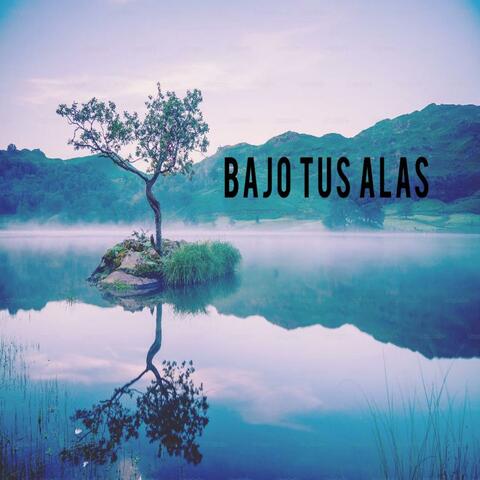Bajo tus Alas