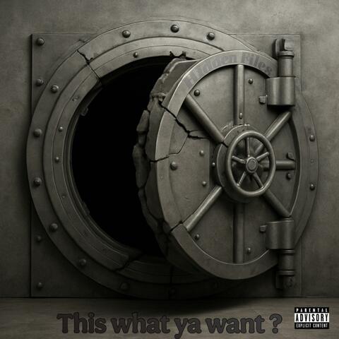This What Ya Want ?