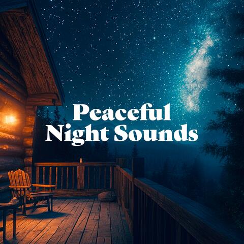 Peaceful Forest Cabin Night Sounds