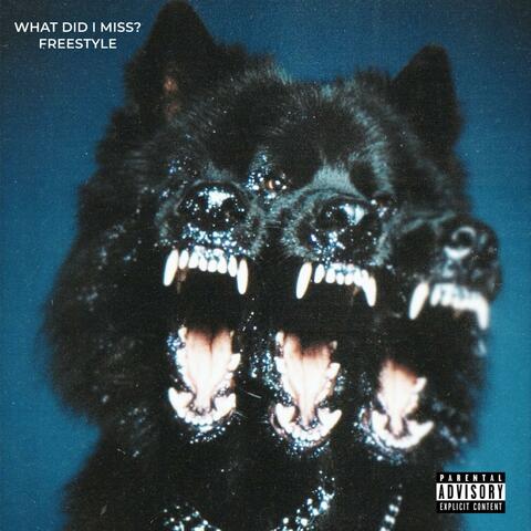 What Did I Miss? Freestyle