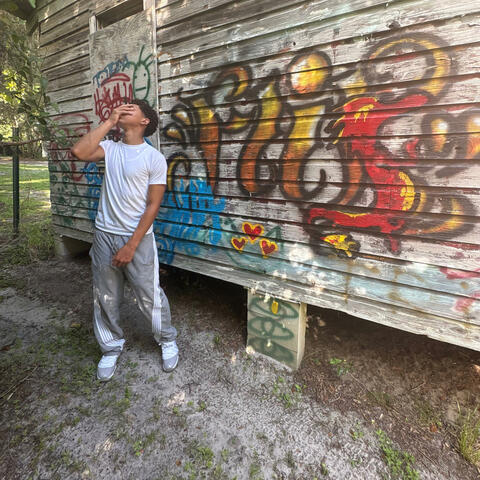 WeLuvDrac (feat. DJ)